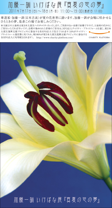 加藤一訓いけばな展「真夏の世の夢」